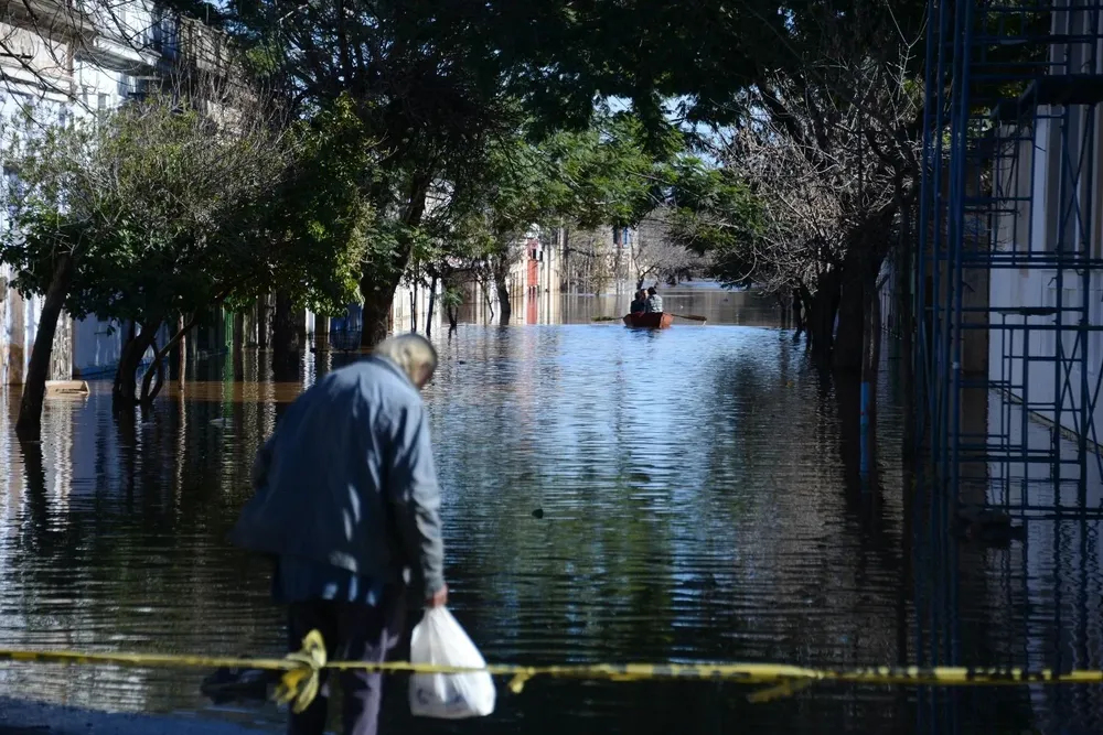 Cultivos de invierno que padecen el embate de los hongos cuando la humedad es excesiva