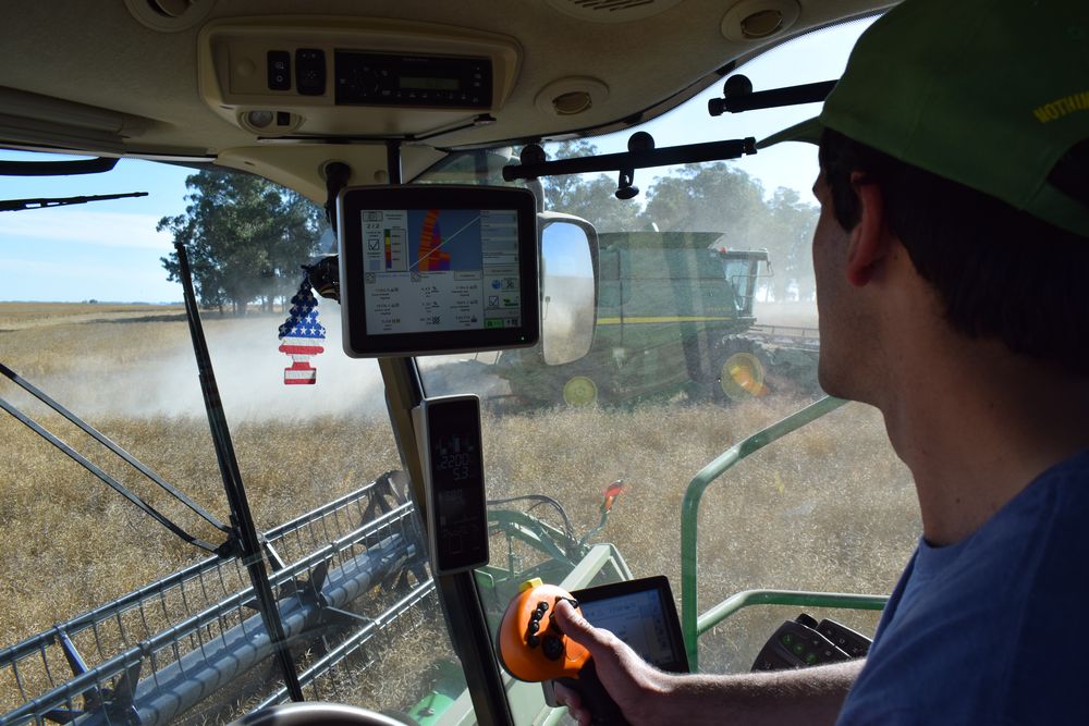 Maquinaria agrícola: cosecha de colza en San José.