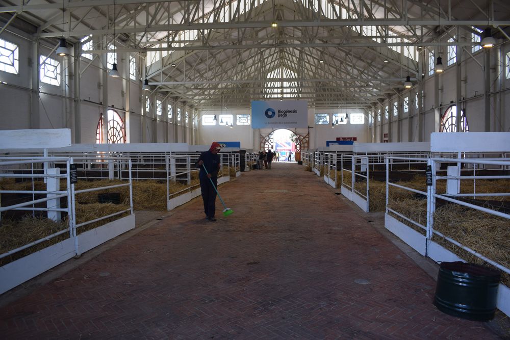 Galp&oacute;n 1 de la Rural del Prado: tras varios a&ntilde;os sin ser utilizado, fue restaurado y su uso se recuper&oacute; desde la Expo Rural del Prado 2024.