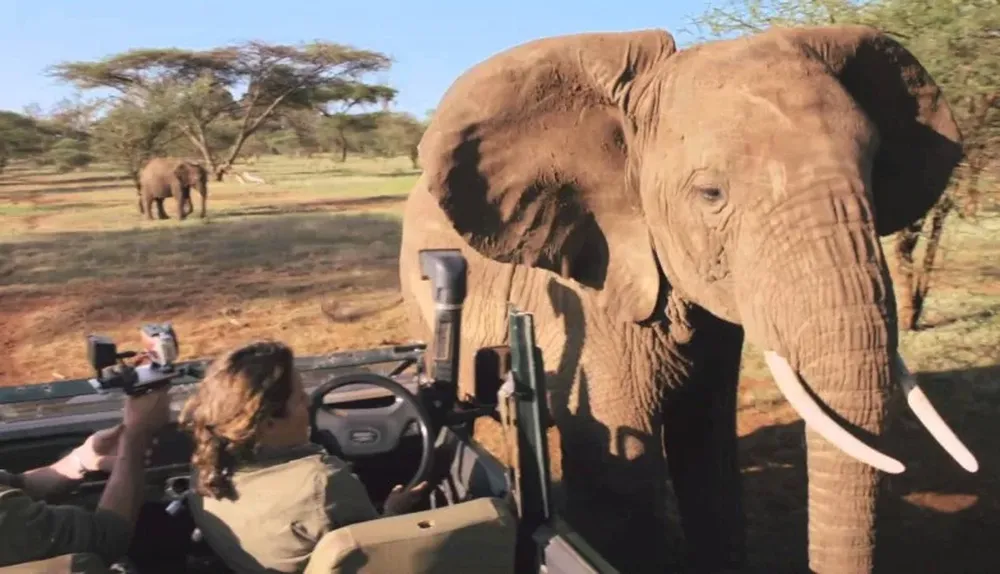 Un viaje imperdible por el continente africano