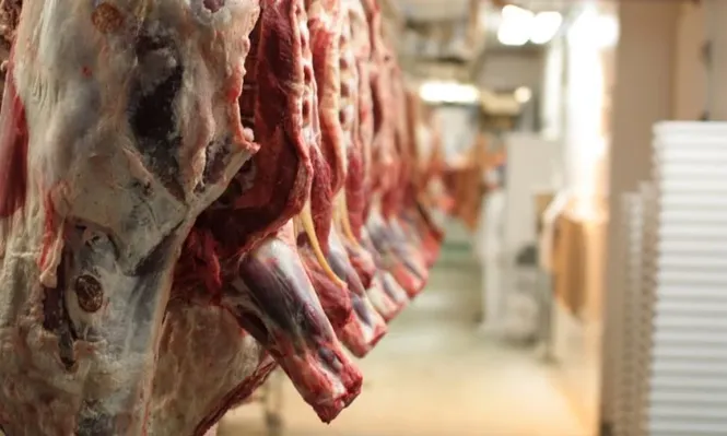 El precio del novillo cruza los US$ 3 por kilo