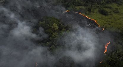 La Amazonía brasileña registró en septiembre el mayor número de incendios en 14 años