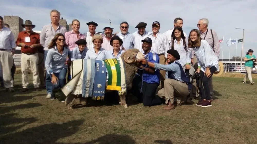 El mejor carnero Merino Australiano de la Exposición de la raza fue de La Magdalena de Los Tordos