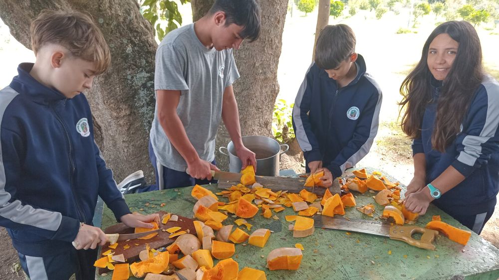Escuela Agraria Gregorio Aznárez: alumnos aprenden colaborando en la producción.