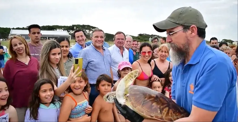 Karumbé es una organización cuya misión es proteger la biodiversidad en peligro, rescatando, rehabilitando y liberando a estos animales