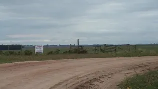 El índice de productividad Coneat del campo es de 86