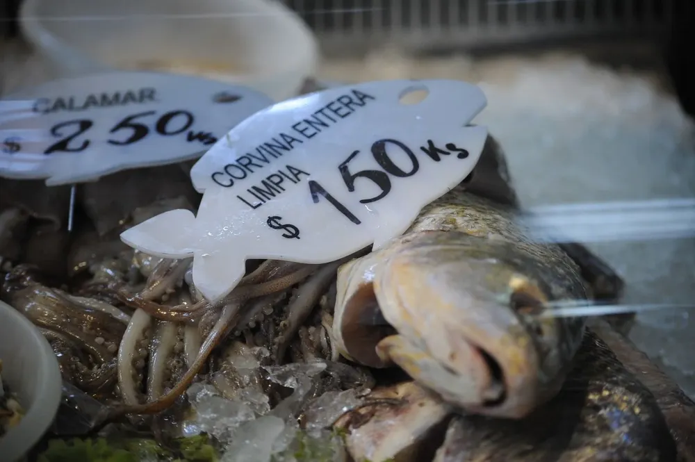 La corvina a la parrilla, un clásico en Semana Santa.