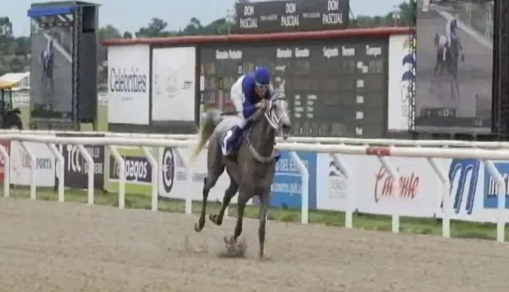 Baraka Zarih, con la monta de Luis Cáceres, ganó la Copa Shadwell 2015