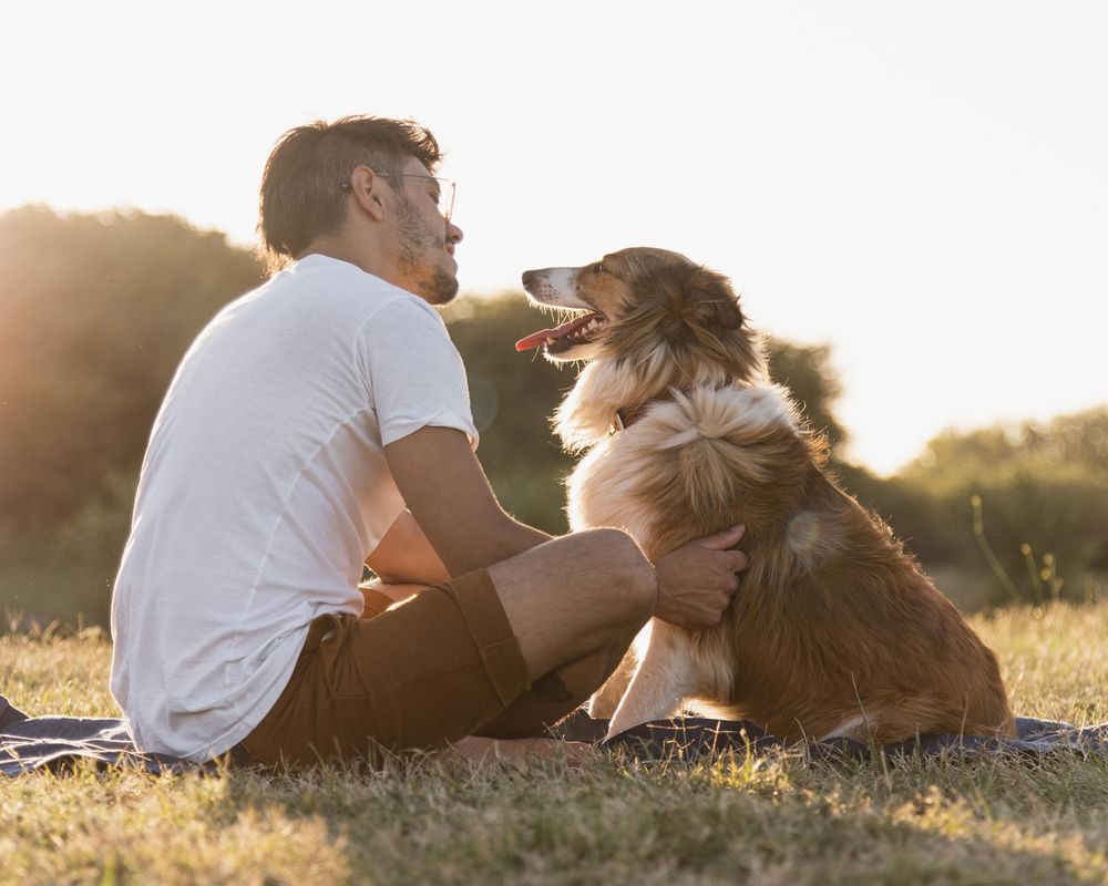 Los perros pueden actuar como indicadores de nuestra salud