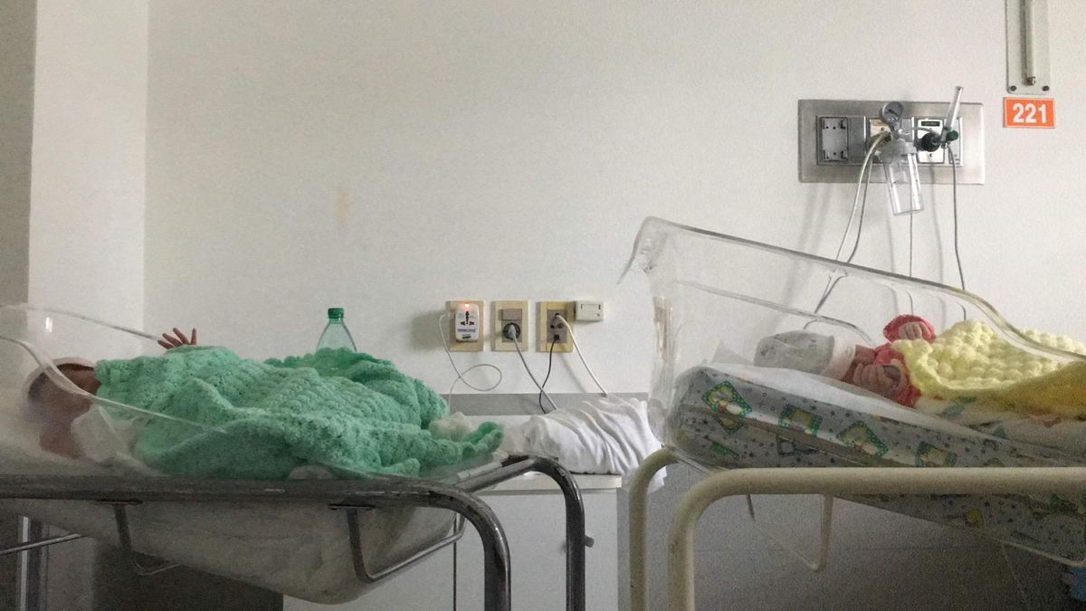 Imagen noticia completa