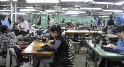 Nuevo emprendimiento productivo