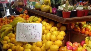 La Feria de la UAM.