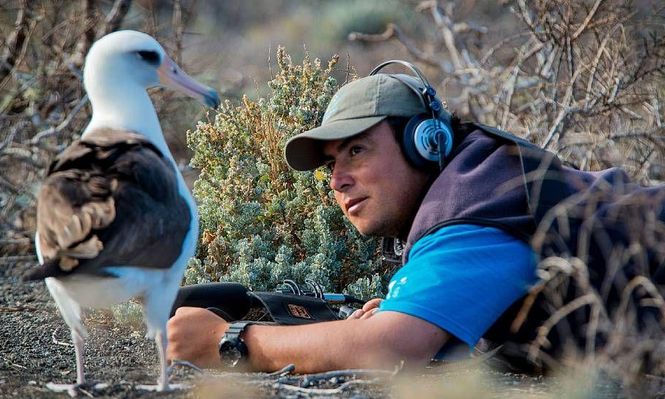 Julio Hernández Montoya trabaja con el Grupo de Ecología y Conservación de Islas, GECI, en la Isla Guadalupe.