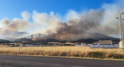 Incendio forestal declarado en las faldas de la Sierra de Córdoba. (EP)