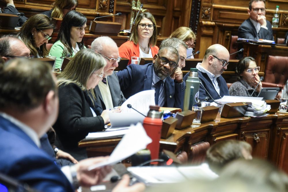 20250819 Interpelación al Ministro de Ambiente Edgardo Ortuño.