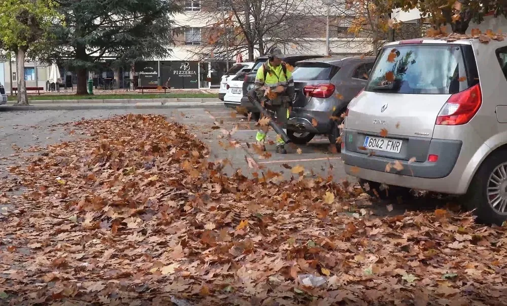 Trabajo de recogida de hojas en Pamplona.