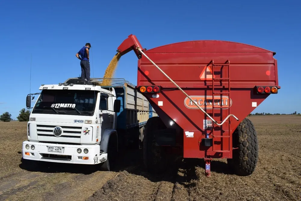 El agro es uno de los sectores que viene tirando del carro en la reactivación del PIB.