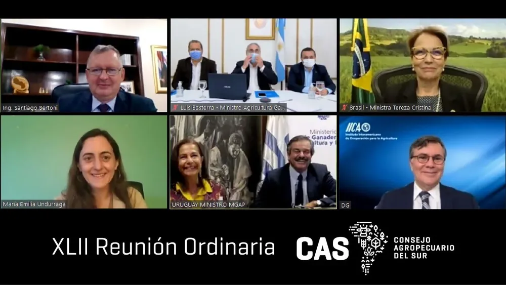 La reunión de ministros del CAS se desarrolló de modo virtual.