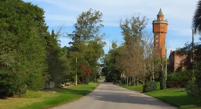 El Observador | 1641396986457.webp