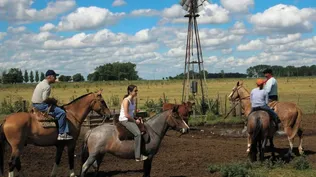 Turismo rural y enológico uruguayo seduce a cruceristas