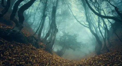 El Observador | 1563735963919.webp