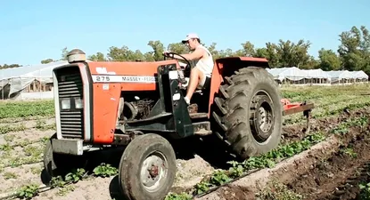 La transformación productiva, tarea de todos