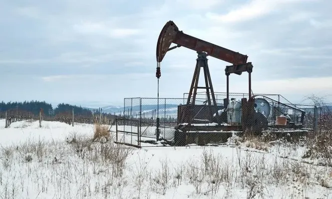 El principal factor que contribuirá a que la OPEP+ tome nuevas decisiones es, de acuerdo con los expertos, la caída de los precios del petróleo.