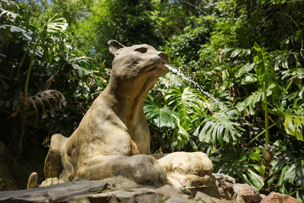 La fuente del Puma: ícono de la Rerserva Natural Salus.&nbsp;