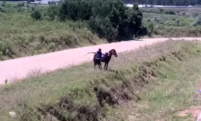 Llegó en caballo a la cárcel de Punta de Rieles y tiró dos kilos de marihuana