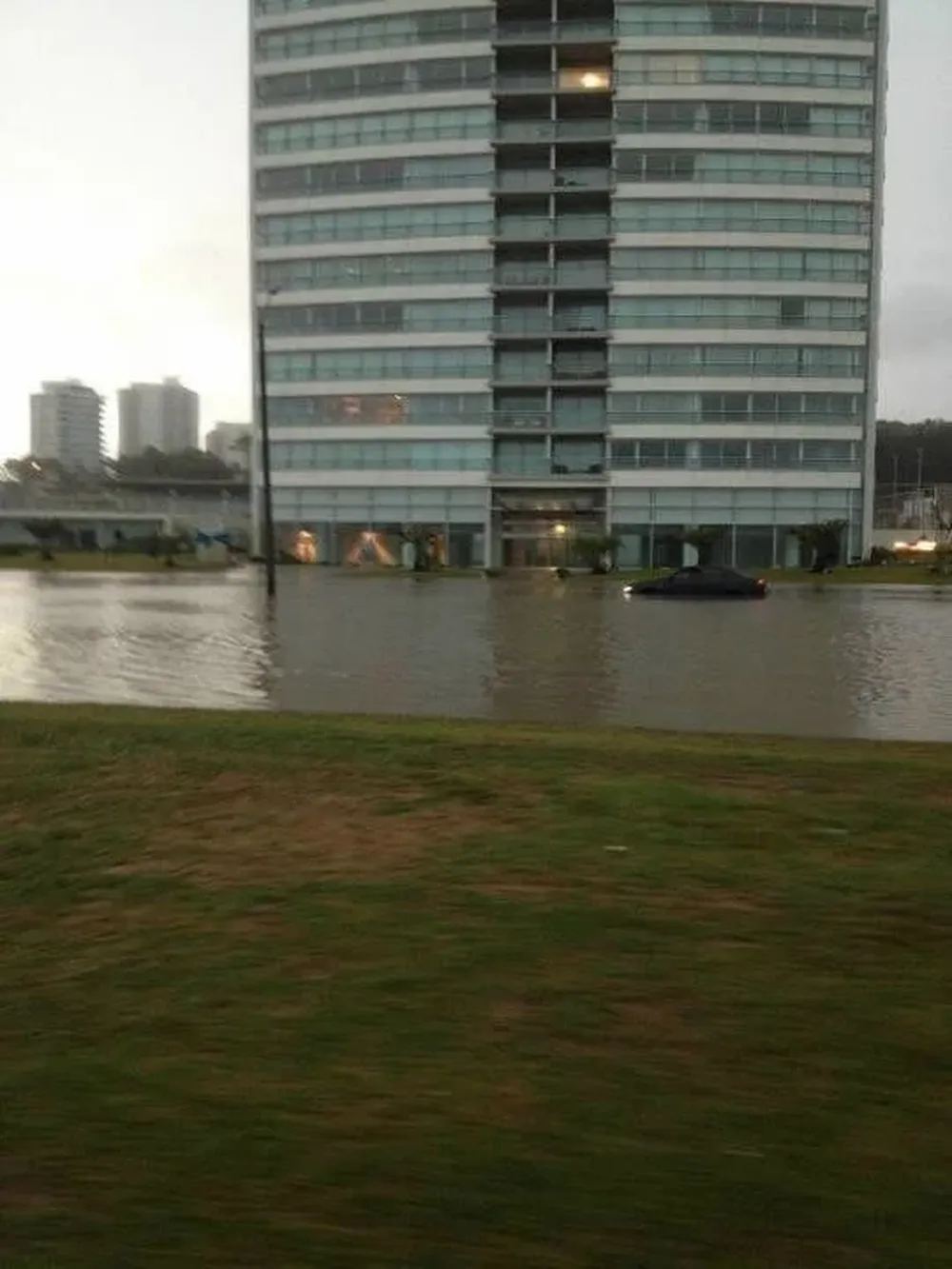 Parada 8 de la Brava, Punta del Este