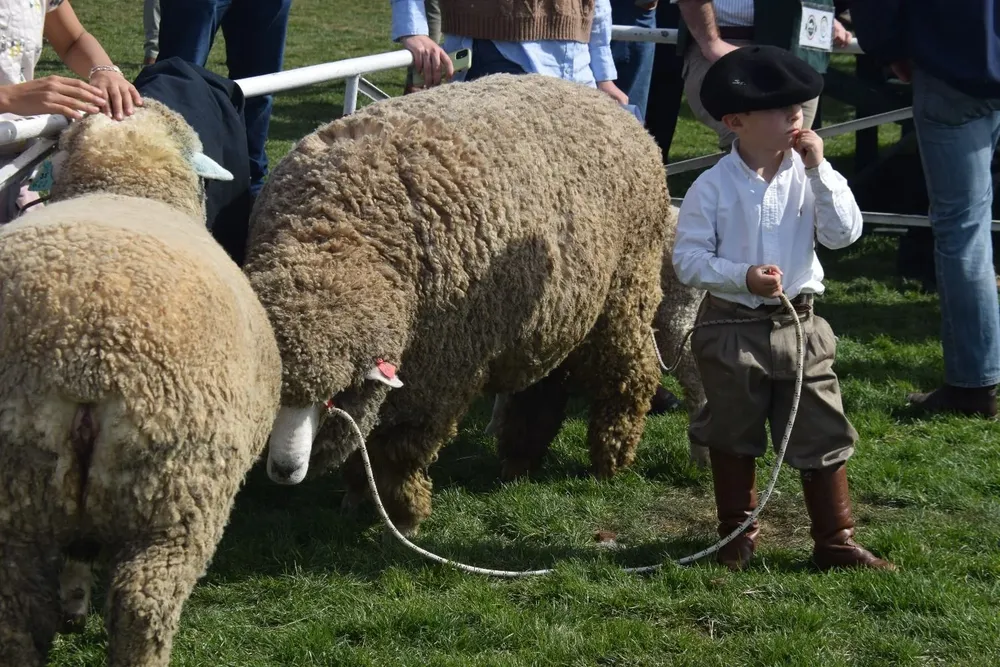 Aparicio en la prepista, listo para mostrar lo suyo al jurado.