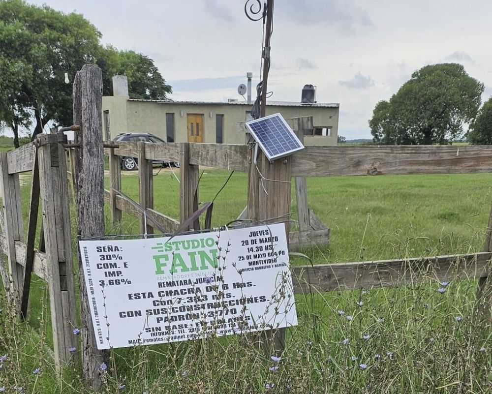Fain remata chacra en Trinidad.&nbsp;