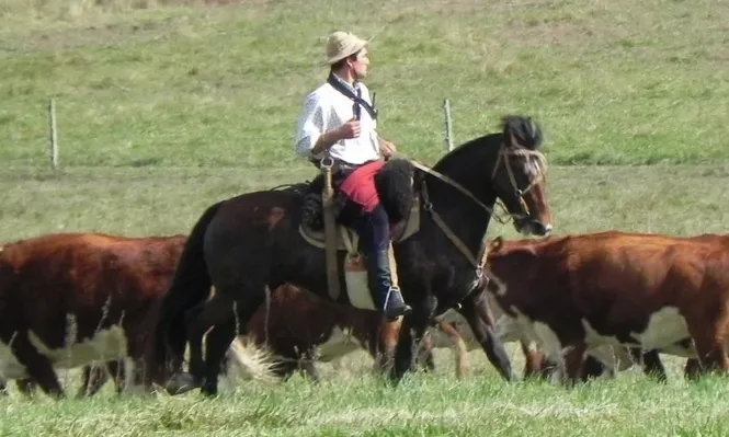 Federación Rural abordará con especial atención la política económica del país