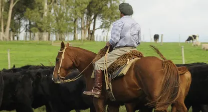 Trabajadores rurales: de cuánto es el próximo ajuste de salario
