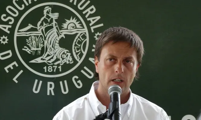 Ganadería precisa invertir para volver a las zonas agrícolas