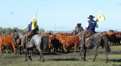 El Observador | 0021432945.webp