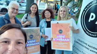 Plataforma Animalista: avanza la recolección de firmas para prohibir las jineteadas en Montevideo.