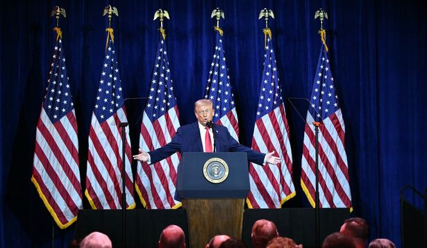 Las reglas de la selva de Trump