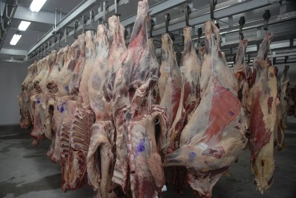 En 2016 Argentina exportó 154.000 toneladas de carne bovina peso producto