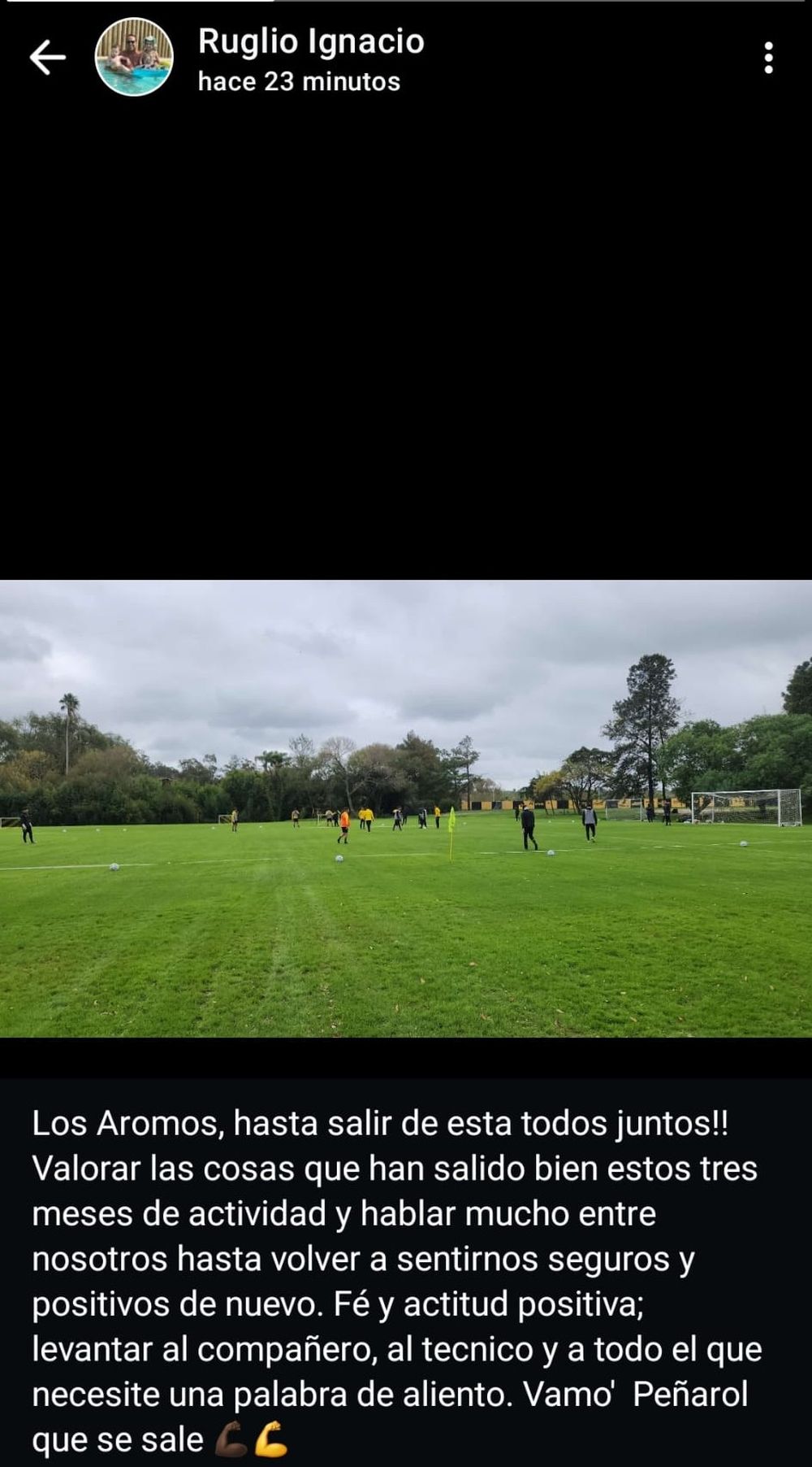 El nuevo estado de Whatsapp de Ignacio Ruglio en plena disaster de Peñarol