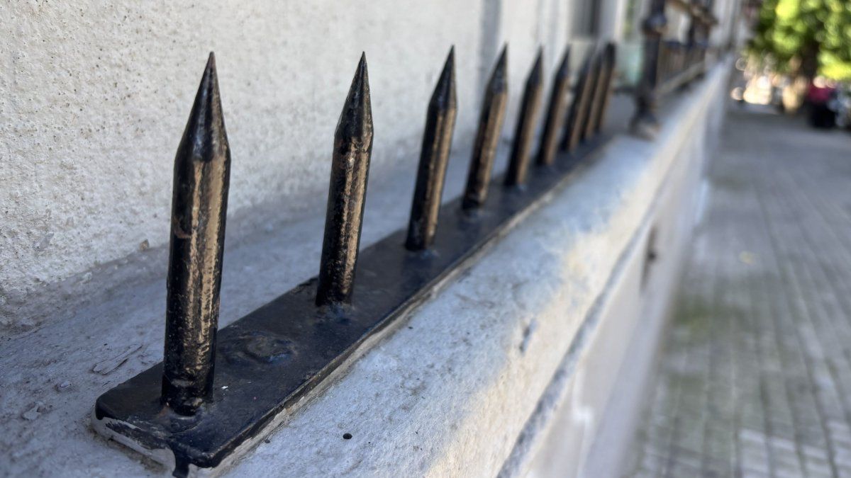 Imagen noticia completa