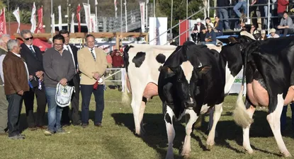 La Gran Campeona PI se escapó durante la premiación.