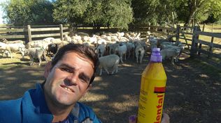 Cerrillada: Claudio Loreto, hace unos días, previo al último de los ataques de perros a sus lanares.