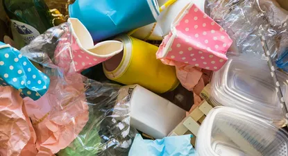 El Observador | 1553794528658.webp