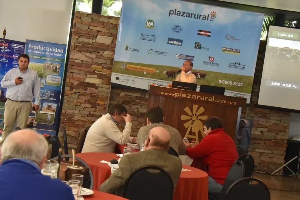 El remate se concretó en el hotel Cottage, con transmisión en vivo por televisión e internet