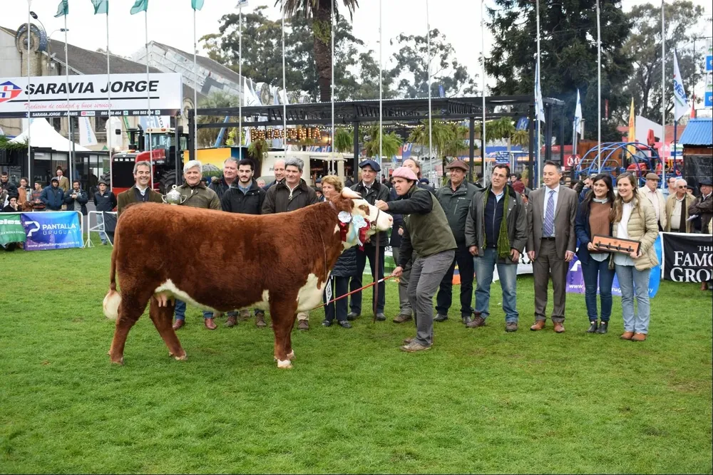 La Gran Campeona astada.