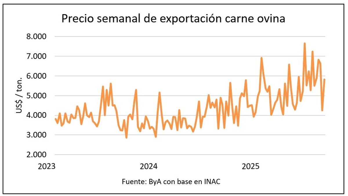 Los corderos superan los US$ 5 por kilo y el precio de la lana trepó al máximo en 20 meses