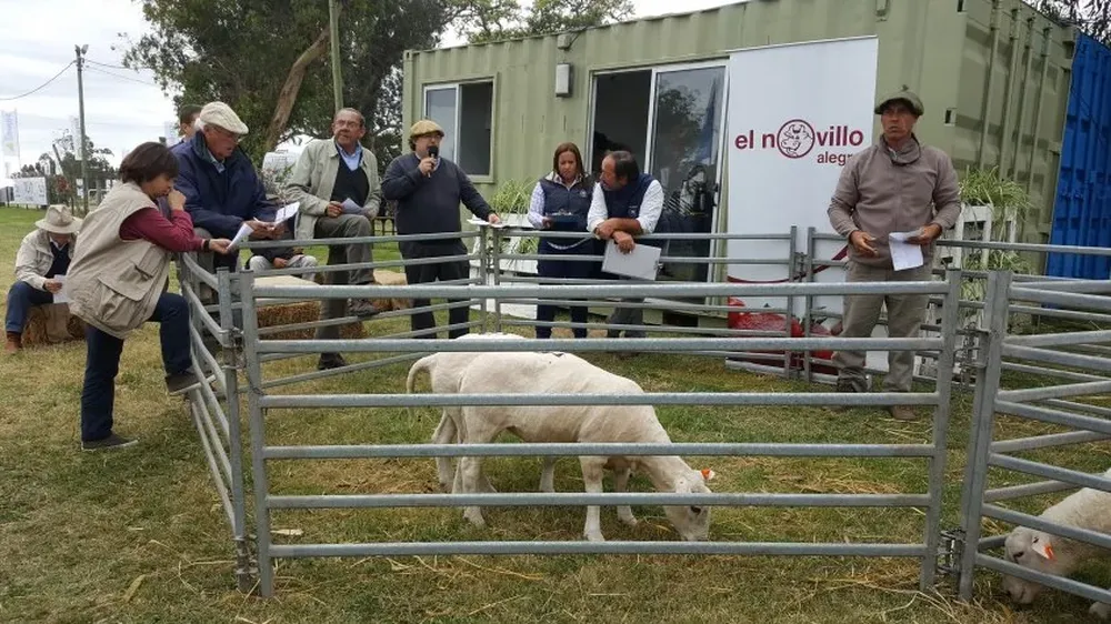Juan Andrés Dutra condujo las ventas en un remate que cada vez es más esperado en Melilla.