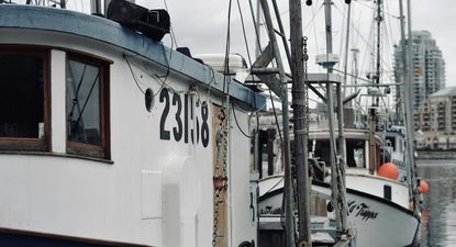 Pesca: un sector que en Uruguay soportó dificultades durante el 2024.