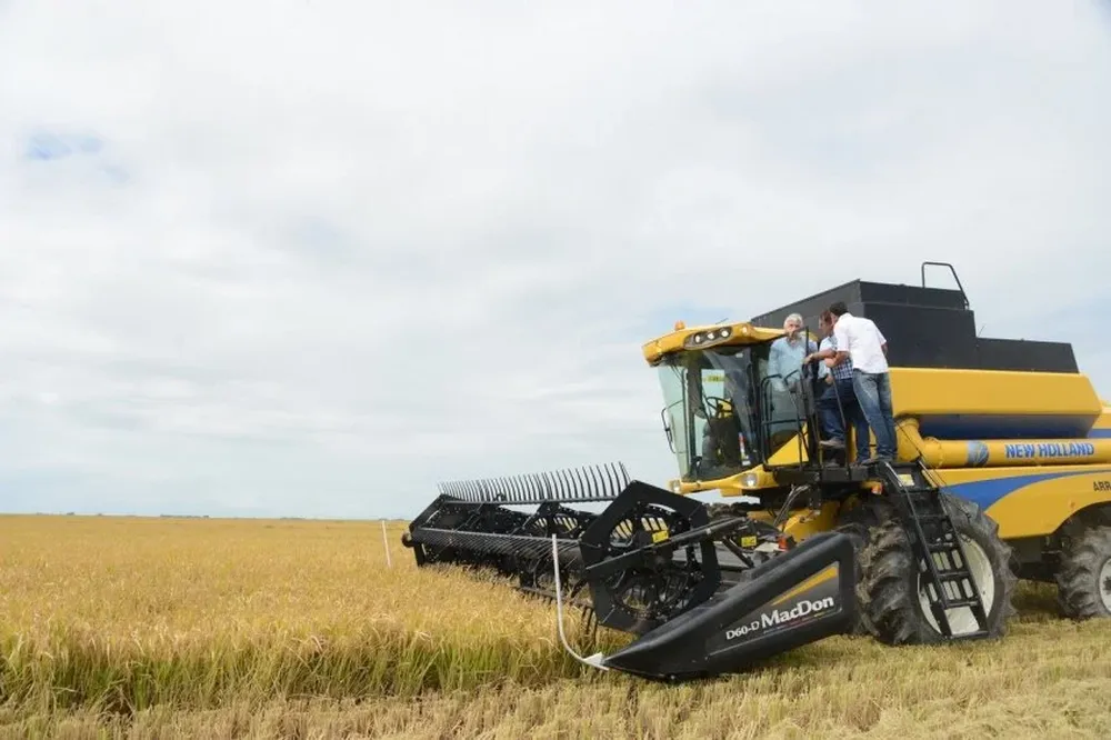 Productores arroceros esperan con expectativa que se mejores los costos productivos